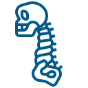 Spine X-Ray