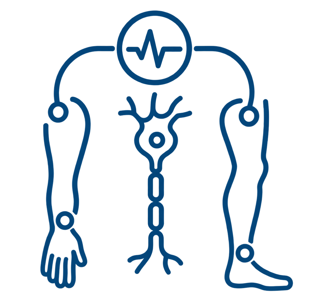 NCV (Nerve Conduction Velocity) 2 LIMBS